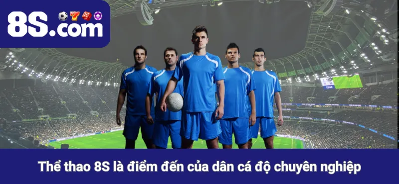 Thể thao 8S là điểm đến của dân cá độ chuyên nghiệp