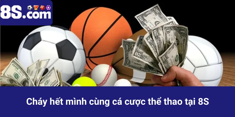 thể thao tại 8S com
