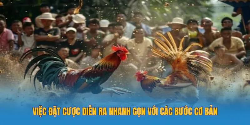 Việc đặt cược diễn ra nhanh gọn với các bước cơ bản