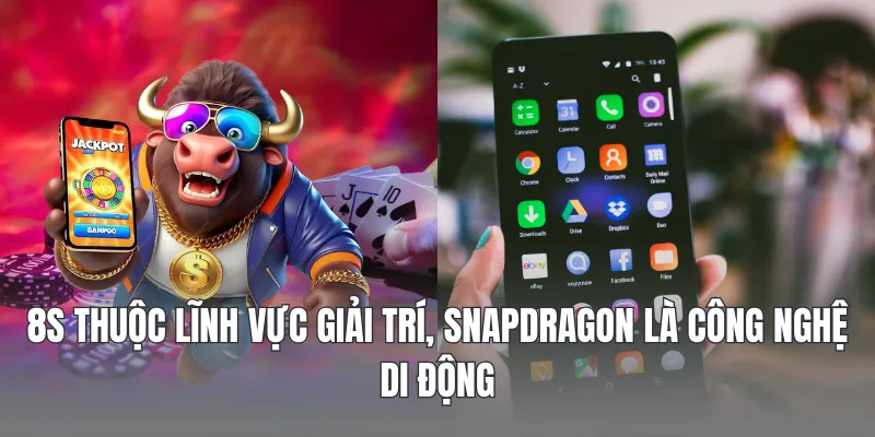 8S là gì? Một thương hiệu trong giải trí trực tuyến, không phải công nghệ